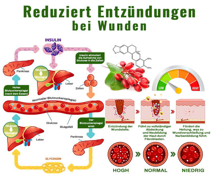 ✅DDG-zertifiziert | Ourlyard™ GlycoSync Pro Aerosolisierer(🔥BIS ZU 80% RABATT)