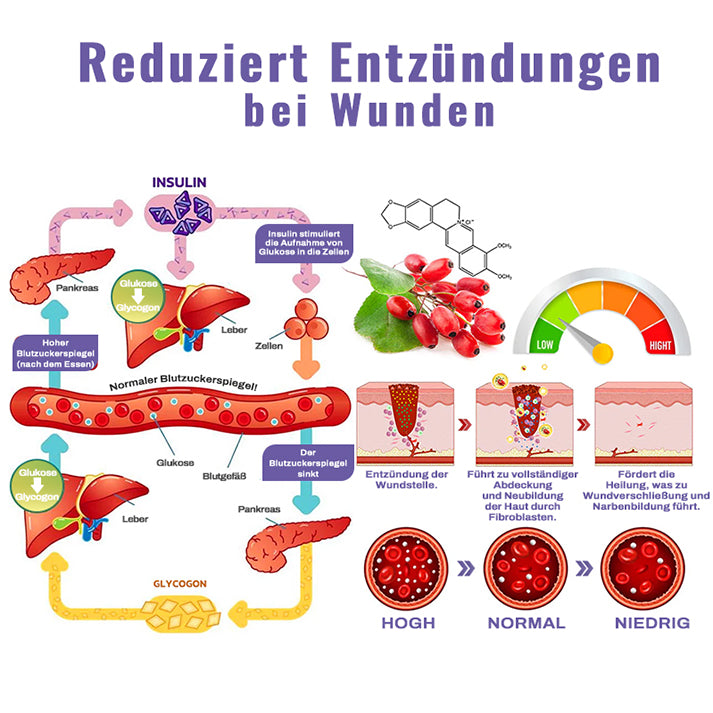 ✅Offizieller Store | Ourlyard™ GlycoSync Pro Aerosolisierer ⚡[Blutzuckerkontrolle in 15 Minuten] – Zertifiziert von der Deutschen Diabetes Gesellschaft (DDG)